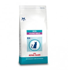 Pienso Royal Canin Skin Young Male Gato