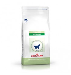 Pienso Royal Canin Weaning Gato
