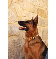 Collar para perro Dashi Licencia Oficial Pip