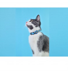 Collar para Gato Dashi Licencia Oficial Muskehounds Artículos para mascotas