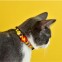 Collar para Gato Dashi Licencia Oficial Pip Artículos para mascotas