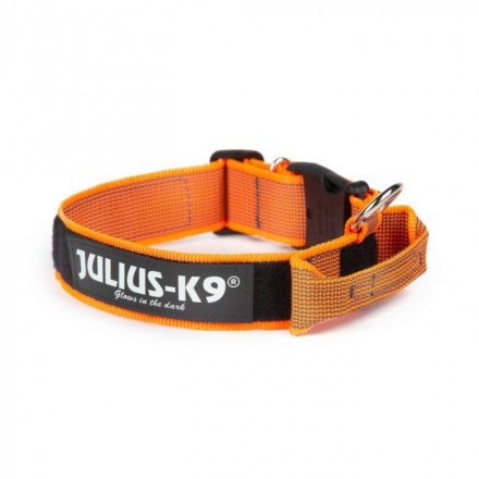 Collar Julius K9 con Asa de 50mm