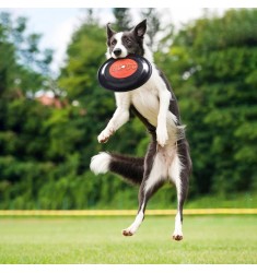 Frisbee para Perro ACDC 26cm
