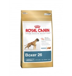 Pienso Royal Canin Boxer Perro