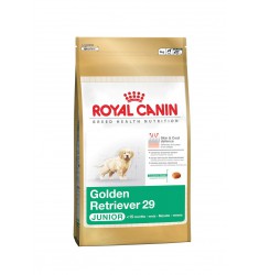 Pienso Royal Canin Golden Retriver Junior Perro