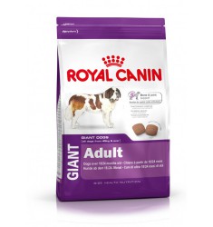 Pienso Royal Canin Giant Adult Perro