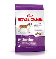 Pienso Royal Canin Gigant Junior Perro