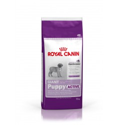 Pienso Royal Canin Giant Puppy Active Perro